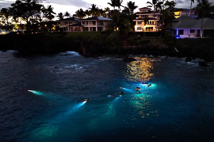 Turtle Town After Dark: Snorkel With Lights & stars - Photo 1 of 11
